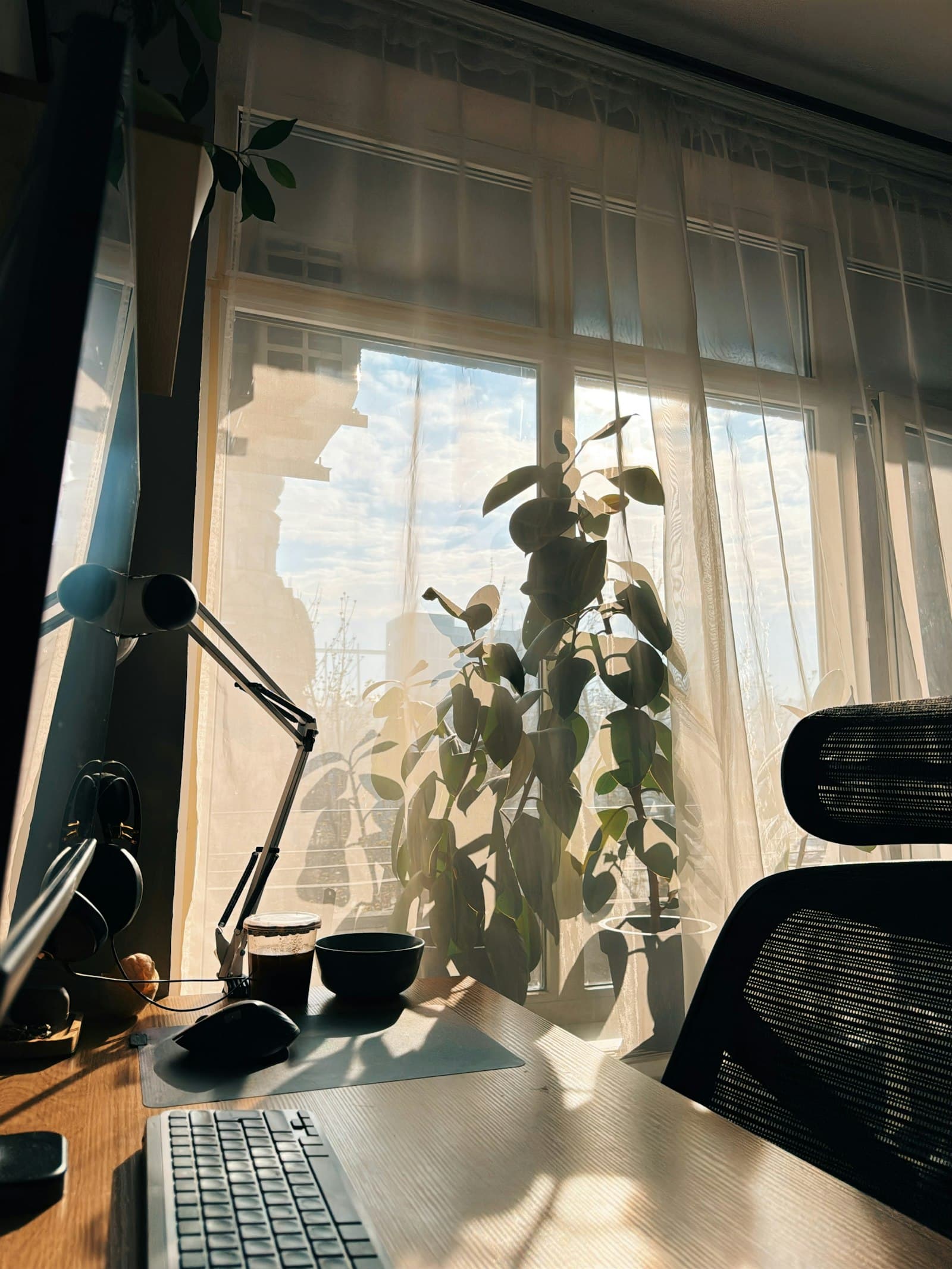 A calm, sunlit workspace by a window in the morning light
